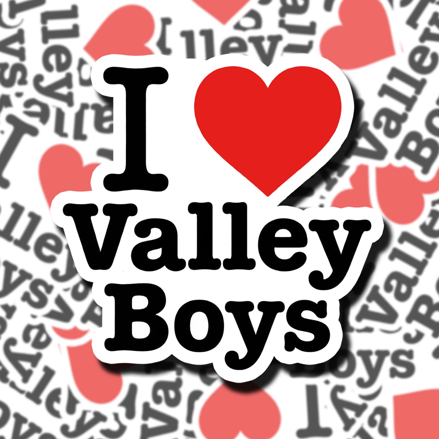 I Love Valley Boys Sticker