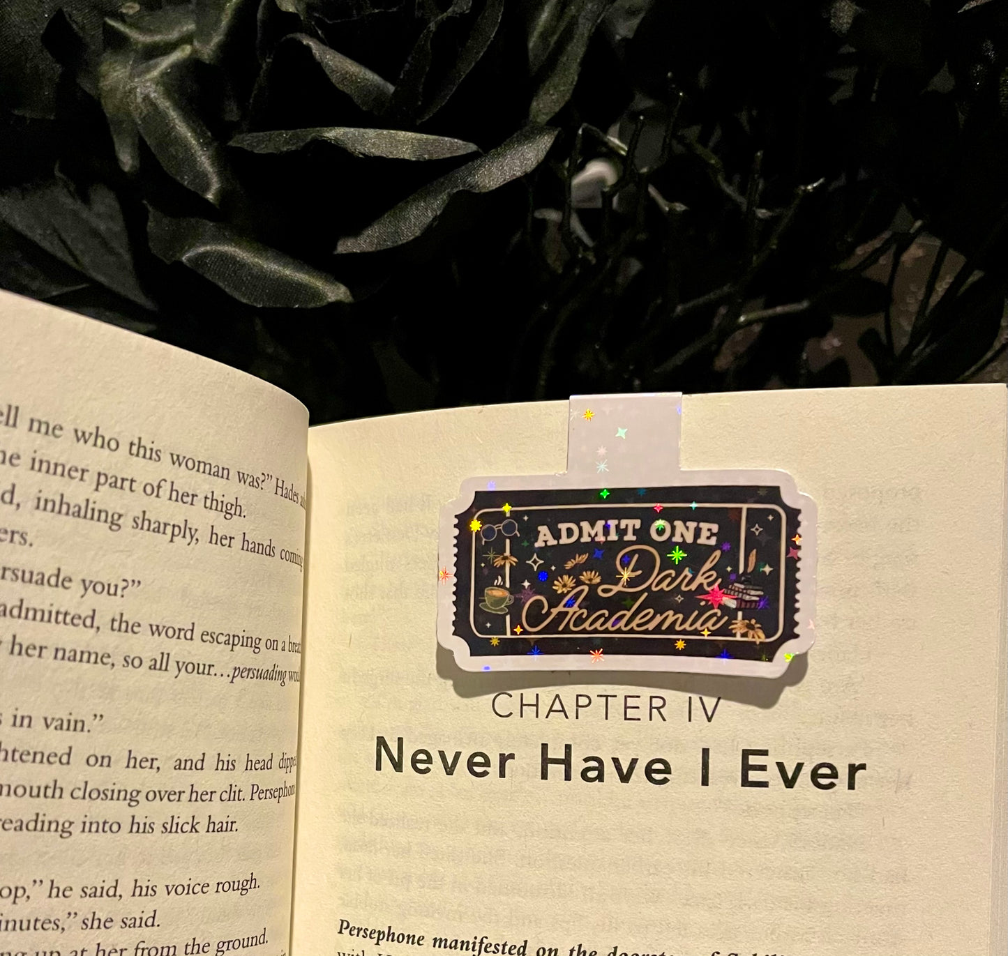Book Ticket Magnetic Bookmark