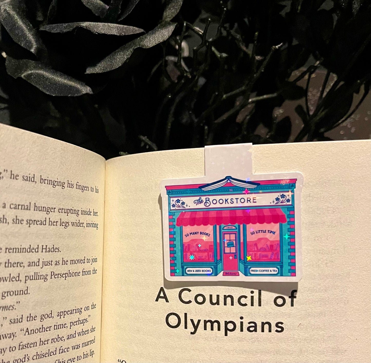 Bookstore Magnetic Bookmark