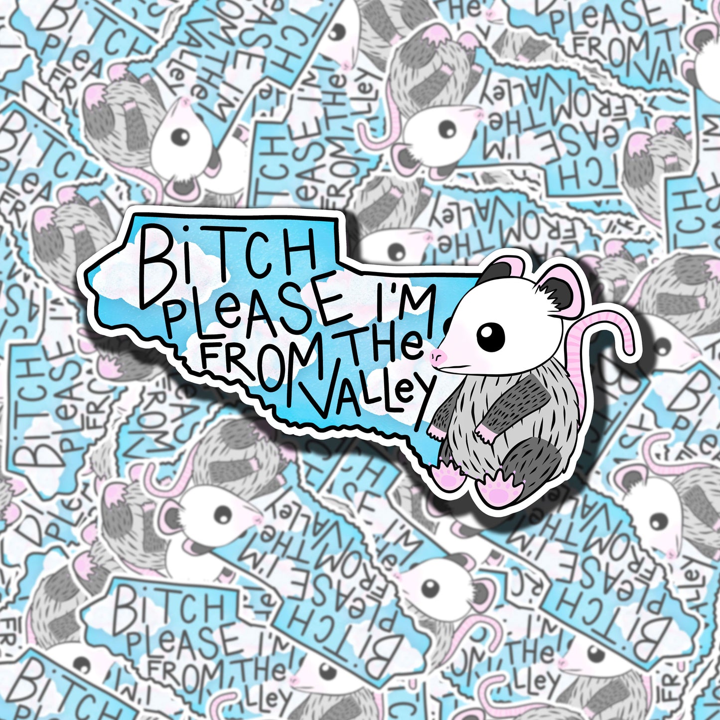 Bitch Please, I'm From The Valley