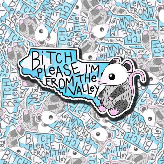 Bitch Please, I'm From The Valley